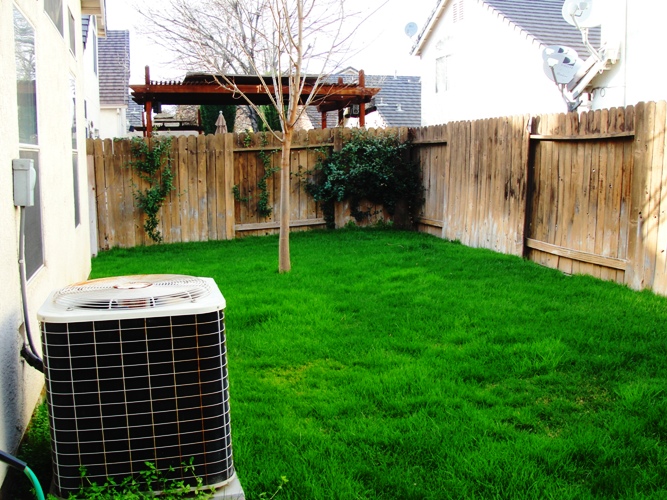 Can I cut my grass in the winter?
