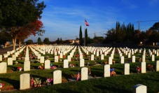 Veterans Day, Little Arlington, Tracy California, Geometric Patterns