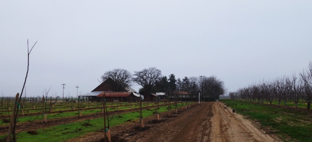 Orchard, Barn, Cloudy Day, Overcast Day, Sunday Afternoon Walk