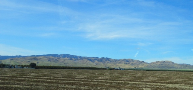 Sunday drive, central valley, tomatoes, hills, rain, greening hills
